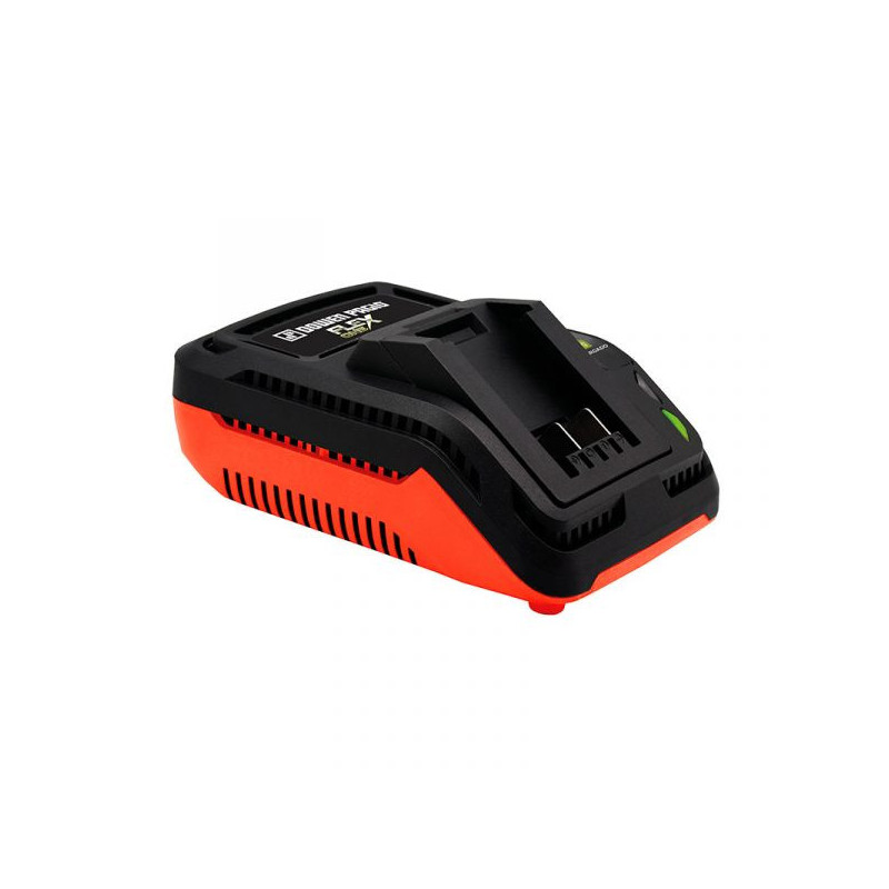 Cargador Baterias Flex One 60 W 220 V Dowen Pagio